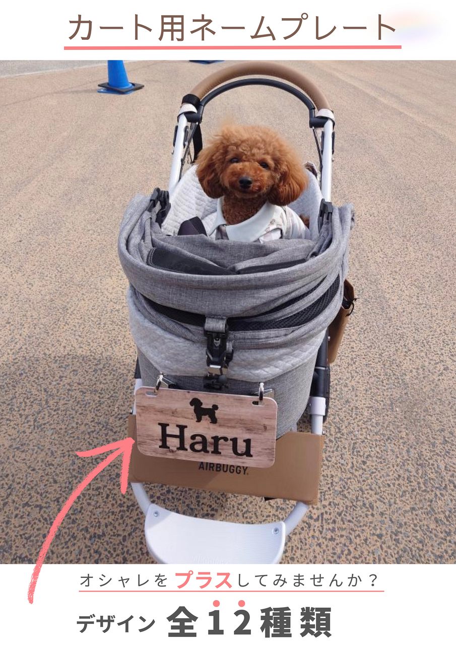 ペット関連
