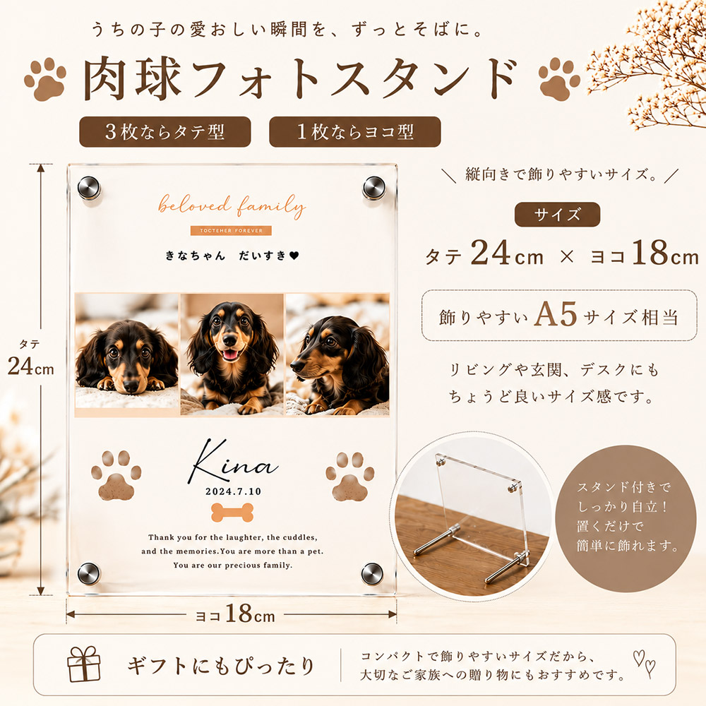 ペット関連