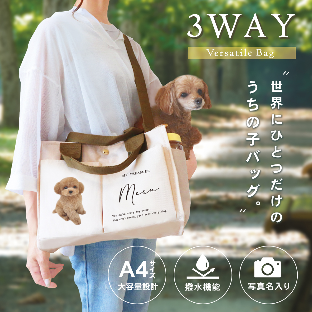 ３WAYバック