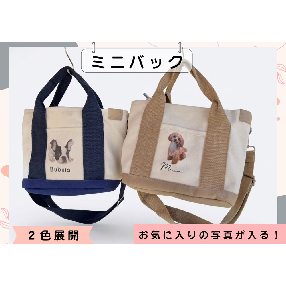 ミニバック